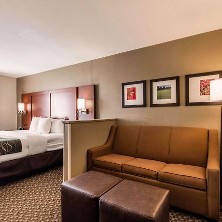 Comfort Suites Tuscaloosa Near University Экстерьер фото